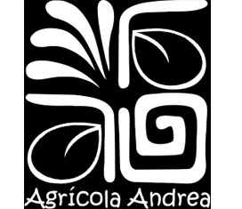 Foto de Carlos Rojas